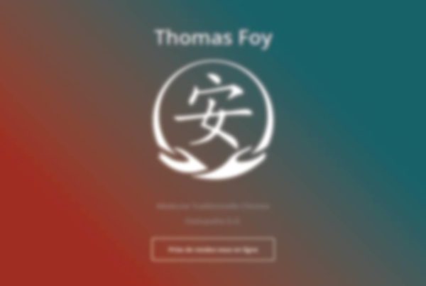 Thomas Foy by SpeedCom' - Création Développement hébergement et référencement SEO