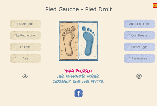 Pied Gauche - Pied Droit